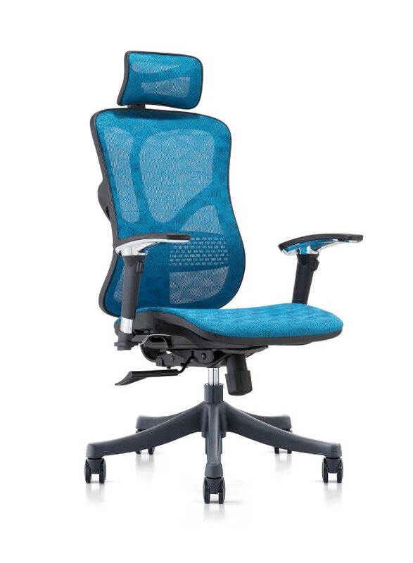 Executive Chair with Adjustable Height, Headrest, and Armrest and Back Supportfor Home, Office and Shops