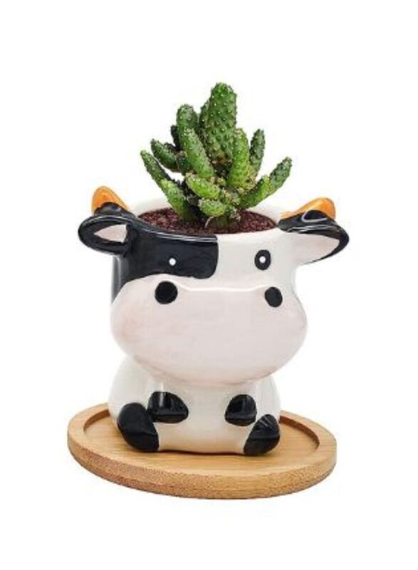 Cute Succulent Planter, Succulent Pots with Drainage Hole Flower Plant Pot Cartoon Ceramic Tiny Pot for Indoor Mini Flower Planters Cactus Container