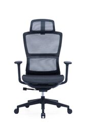 Modern Sleek Black Mesh Office Chair with 3D Armrests, Headrest and Four-Position Lock for Home or Office