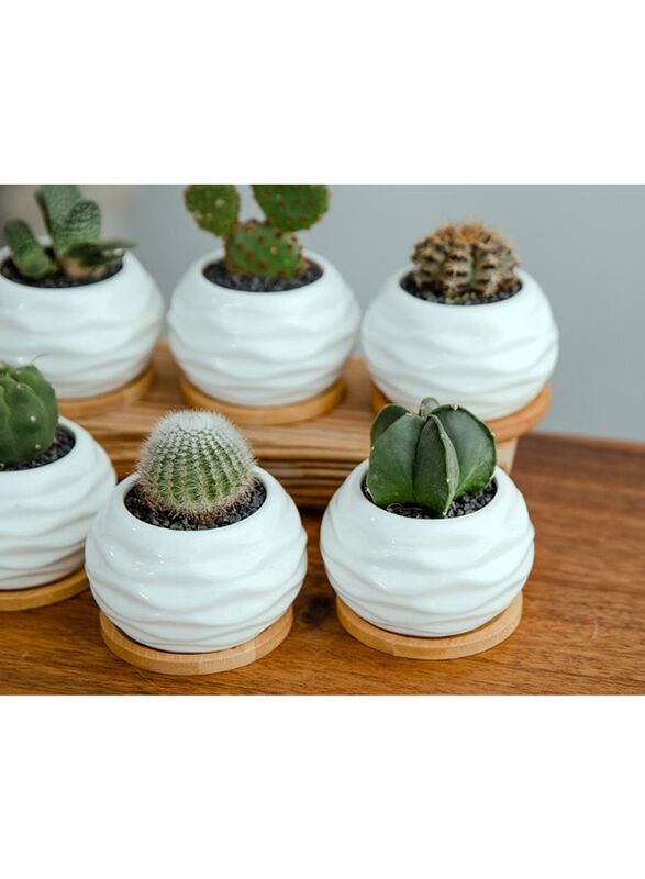 6 Pcs Geometric Succulent Planter, Set of 6 White Ceramic Succulent Cactus Wave Design Planter Pots with Bamboo Tray(Plants NOT Included)