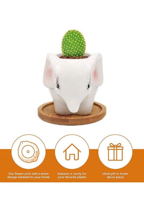 Cute Succulent Planter, Succulent Pots with Drainage Hole Flower Plant Pot Cartoon Ceramic Tiny Pot for Indoor Mini Flower Planters Cactus Container