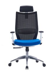 Ergonomic Office Chair with Lumbar Support , Blue Seat Black Back Reclining High Back with Breathable Mesh,Comfortable Computer Chair,Home Office Desk Chairs