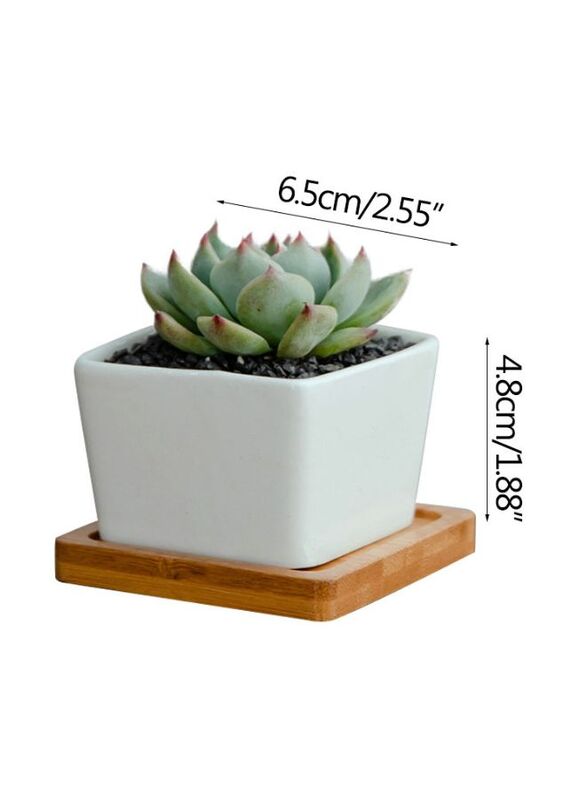 White succulent plant pot with bamboo tray and drainage hole for desk, office, home garden