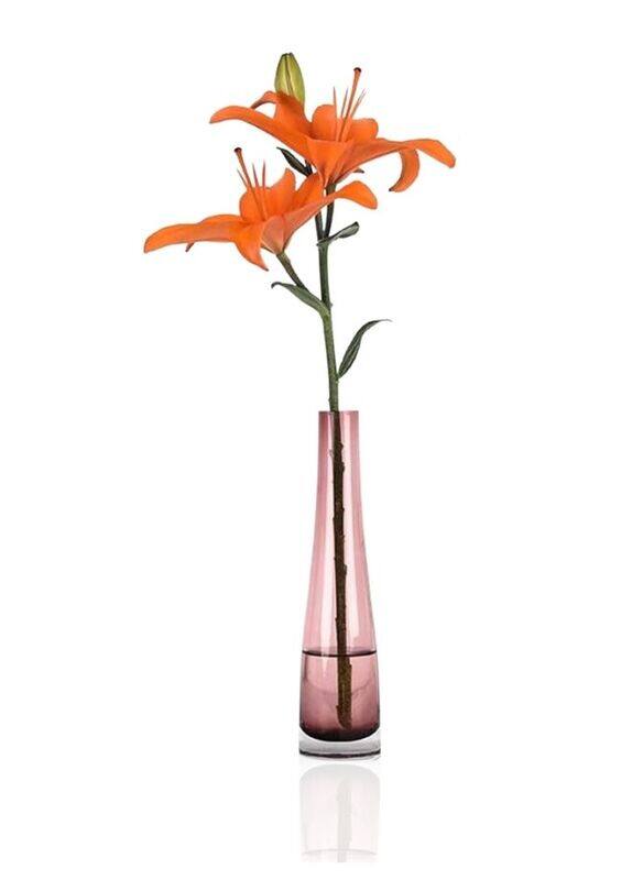 

Generic Glass Vase, Cylinder Flower Vase for Floral Arrangements, Weddings, Home Decor or Office, Pink