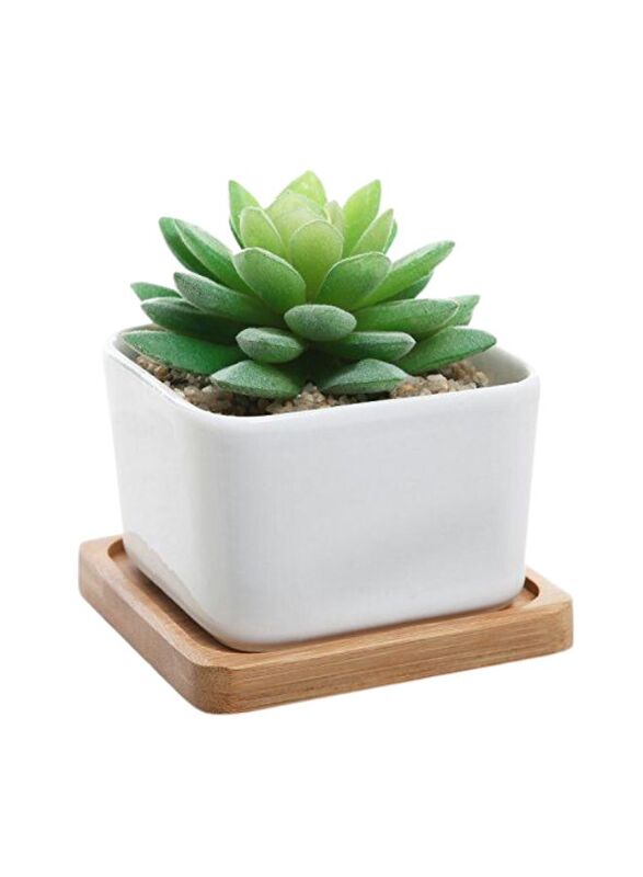 White succulent plant pot with bamboo tray and drainage hole for desk, office, home garden