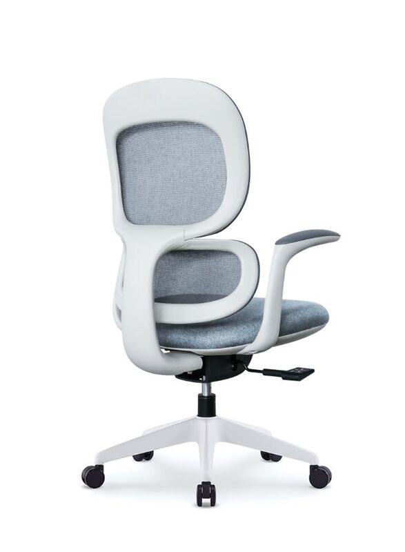 Modern Executive Ergonimic Office Chair with Sliding Seat, Without Headrest, White Frame for Office, Home and Shops, Grey
