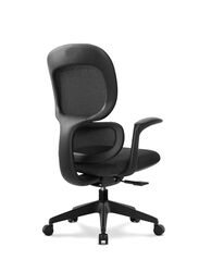 Modern Executive Ergonimic Office Chair with Sliding Seat, Without Headrest, Black Base for Office, Home and Shops, Black