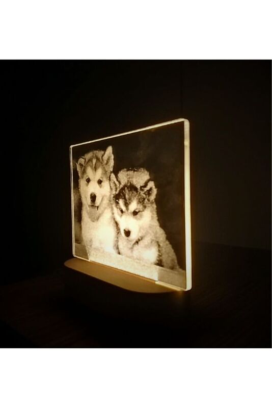 3D Acrylic Night Light Table Lamp with Wooden Base, Best Gift for Birthday, Anniversary, and Home Decor (Dogs)