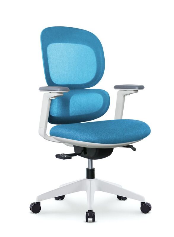 Modern Executive Ergonimic Office Chair with Sliding Seat, Without Headrest, White Frame for Office, Home and Shops, Blue