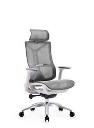 Modern Ergonomic Office Chair With Headrest And Aluminum Base for Office, Home Office and Shops, High Back, Grey