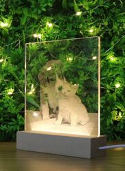 3D Acrylic Night Light Table Lamp with Wooden Base, Best Gift for Birthday, Anniversary, and Home Decor (Loving Cat and Dog)