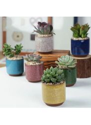6pcs Small Succulent Planter Succulent Plant Pots Plant Container Small Flowerpot Succulent Container for Store Office Home Decoration (plant not included)