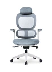 Modern Executive Ergonimic Office Chair With Sliding Seat and Headrest, White Frame for Office, Home and Shops, Grey