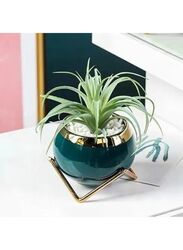 3pcs Small Succulent Planter Succulent Plant Pots Plant Container Small Flowerpot Succulent Container for Store Office Home Decoration (plant not included)