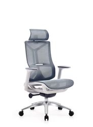 Modern Ergonomic Office Chair With Headrest And Aluminum Base for Office, Home Office and Shops, High Back, Blue