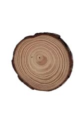 1 Pc Unfinished Wood Bark Slices Great for Wall decoration