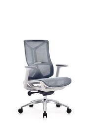 Modern Ergonomic Office Chair Without Headrest And Aluminum Base for Office, Home Office and Shops, High Back, Blue