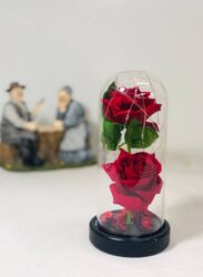 2 Red Roses Dome Lights,Rose Flowers Light in a Glass,Artificial Flowers Rose Gift Warm White Light Gifts for Valentines/Birthday/Christmas/Wedding Gift