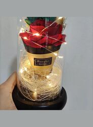 LED Light Dried Flowers In Glass Dome Artificial Dried Flower Bouquet Gift For Valentine's Day/Birthday/Christmas/Wedding Gift