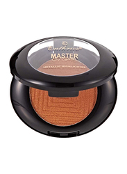 Enthrice Master Rouge Metallic Highlighter, 20gm, 12 Brown, Brown