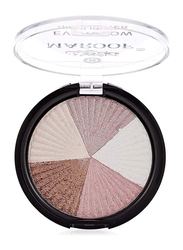 Maroof Everyglow Highlighter, 20g, 08 Multicolour, Multicolour