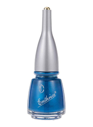 Enthrice Quick Dry Nail Polish, 15ml, 21 Blue, Blue