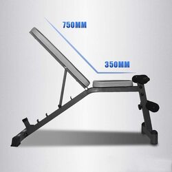 MaxStrength Multifunctional Supine Board Exercise Bench with Dumbbell, Dumbbell Bench, Multicolour