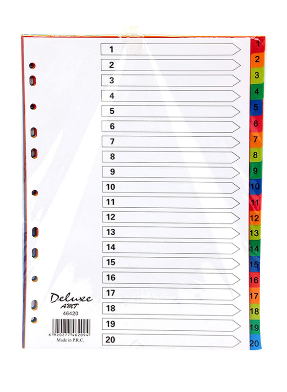 Deluxe Plastic Divider with Number 1-20, A4 Size, 10 Pieces, Multicolour