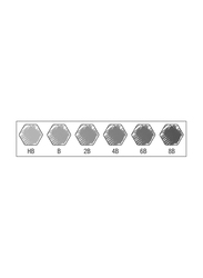 Faber-Castell 6-Piece Castell 9000 HB, B, 2B, 4B, 6B & 8B Graphite Pencils, F119063, Grey/Black